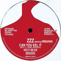 ( 7" ) ZZZ FEATURING HIBAHIHI / Can you eel it  < house >