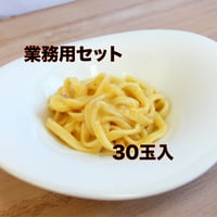 【業務用】中沢製麺製カラヒグ麺 低加水パスタフレスカ　フェットチーネタイプ×30玉