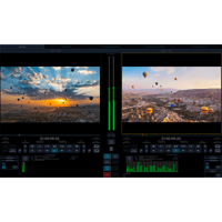 cineX Suite - Licensing with iLok  (年間サブスクリプション)