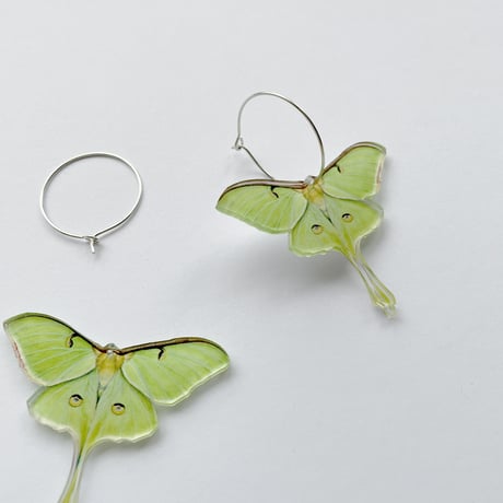 Moth  蛾ピアス