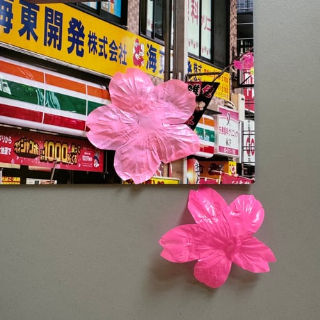 若生友見 ／ 029 Blooming Street