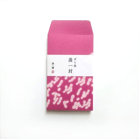 ヨーヨーラランデーズ ／ ぽち袋 菌一封　４枚セット