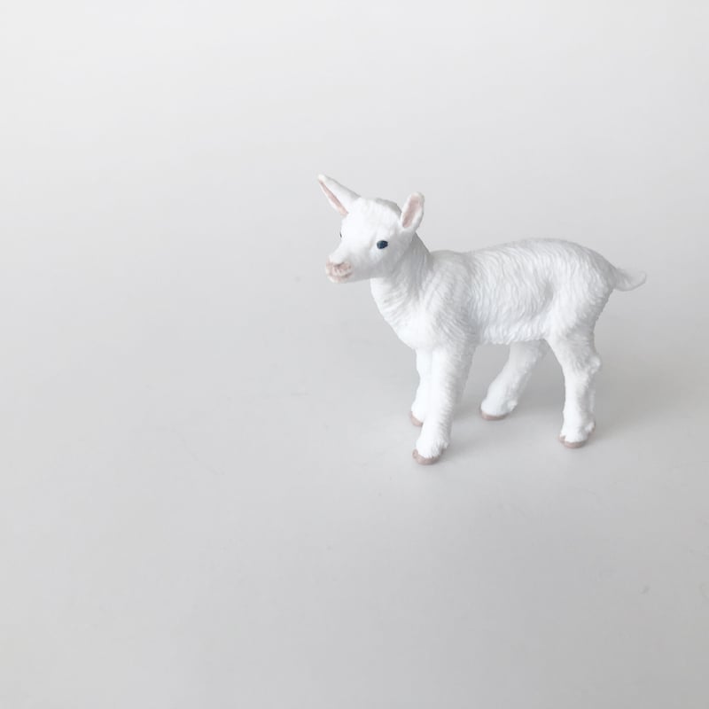 フィギュア Baby goat 仔ヤギ [Safari] | はちみせ （83）