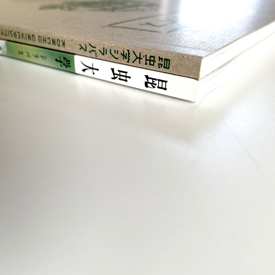 645203125f5ac5009555d393