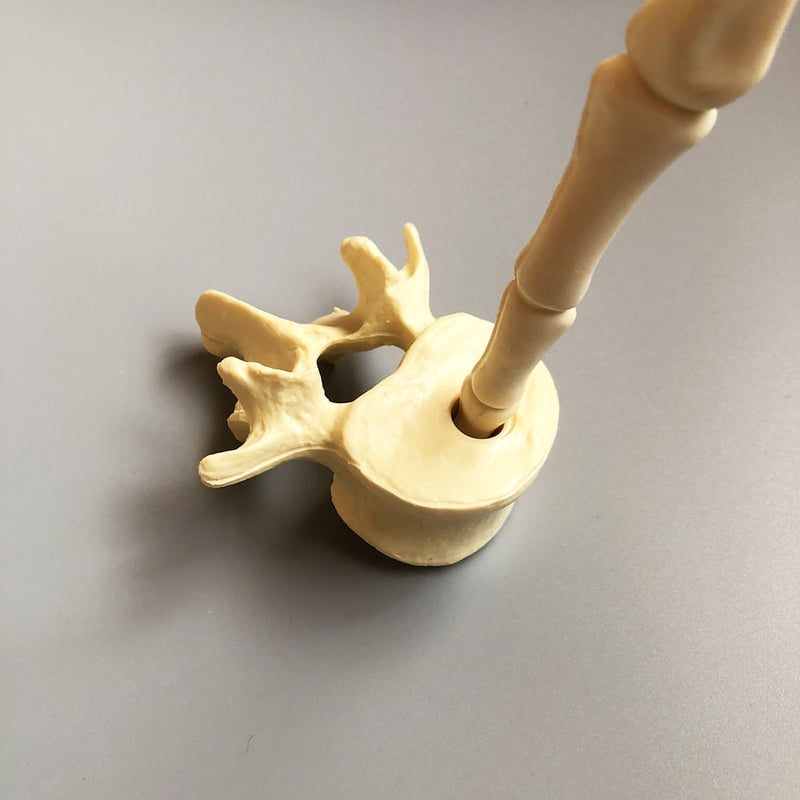 つんたんページ ハイゲージキラキララッフルスリーブニット | AND ON JIONE