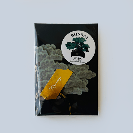 BONSAI Pop-Up Card｜黒松