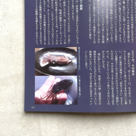 日本いか連合 ／ いか生活 vol. 1 [BOOK]