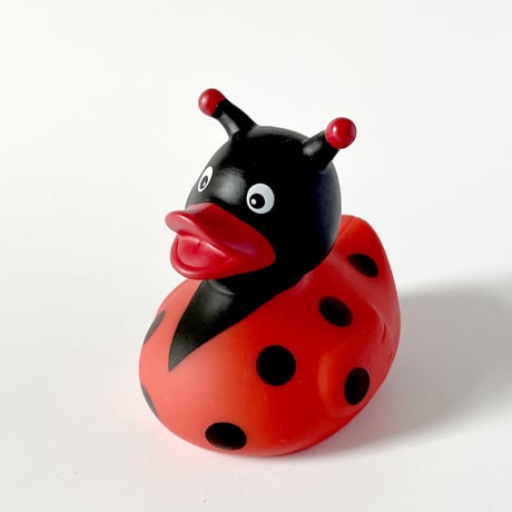 Lilalu Duck ｜Insects