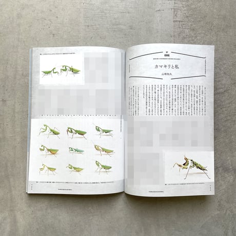 沙東すず／昆虫大学シラバス 乱世編  vol.2