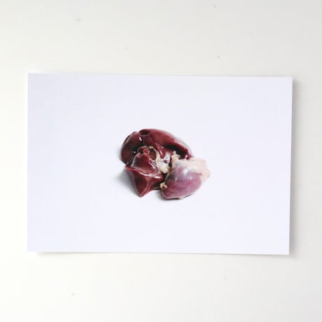 飯沢未央 ／ the Male or Female [post card 8set]