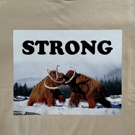83 original  ／ STRONG Tシャツ ｜サンド