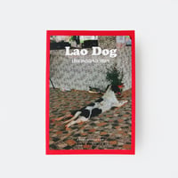 土屋遊  ／ Lao Dog ｜ラオスで出会った自由な36匹