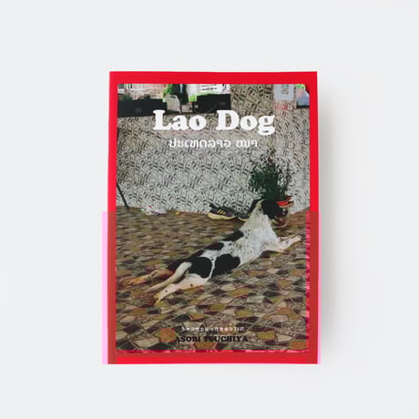 未開封 絶版本 HIDE AND SEEK THE インテリア アートブック Hide and