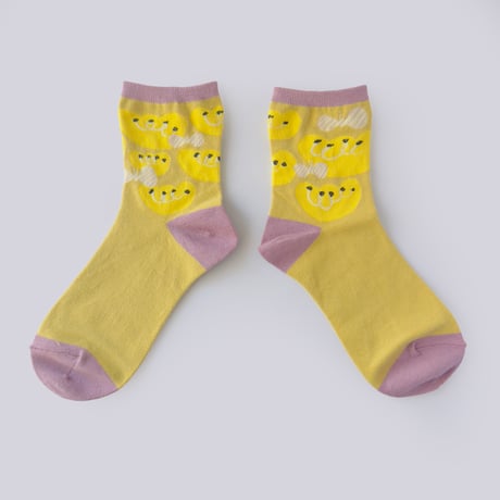 Murgraph（下平晃道） ／ Socks　Flower & Butterfly