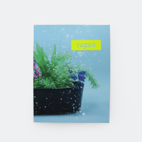 若生友見 ／ 034 Grass of Water