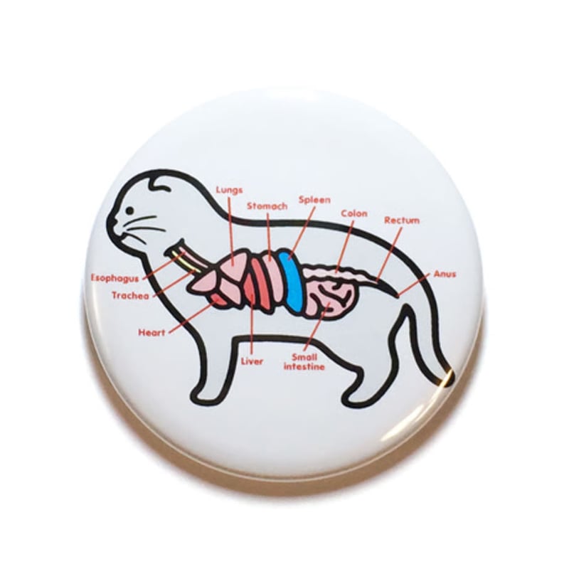 八重樫王明 ／ 缶バッジ 猫 | はちみせ （83）