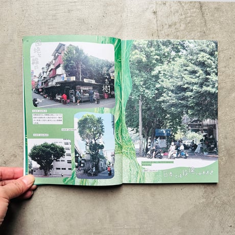 鉄窓花書房 tamazo ／ 台湾の熱帯植物を愛でる