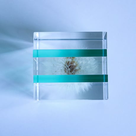 Sola cube Slice ｜Dandelion