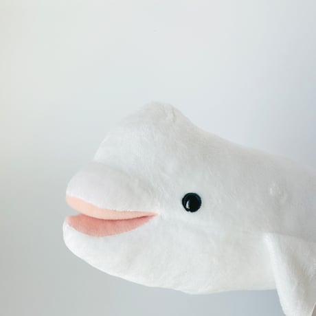 ぬいぐるみ ベルーガ