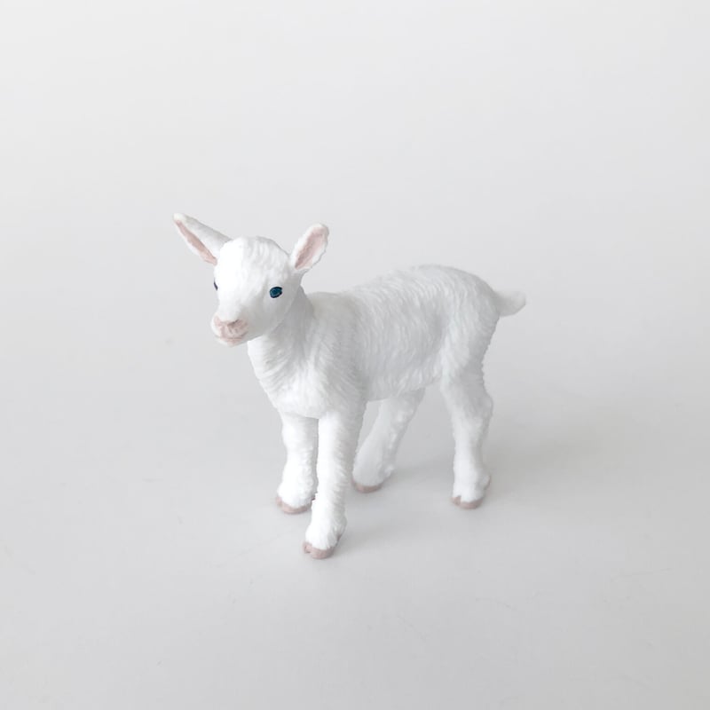 フィギュア Baby goat 仔ヤギ [Safari] | はちみせ （83）