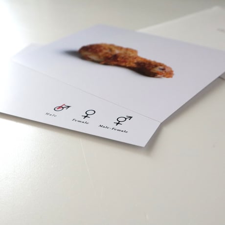 飯沢未央 ／ the Male or Female [post card 8set]