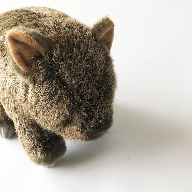 ウォンバットぬいぐるみ特大