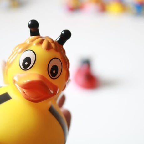 Lilalu Duck ｜Insects