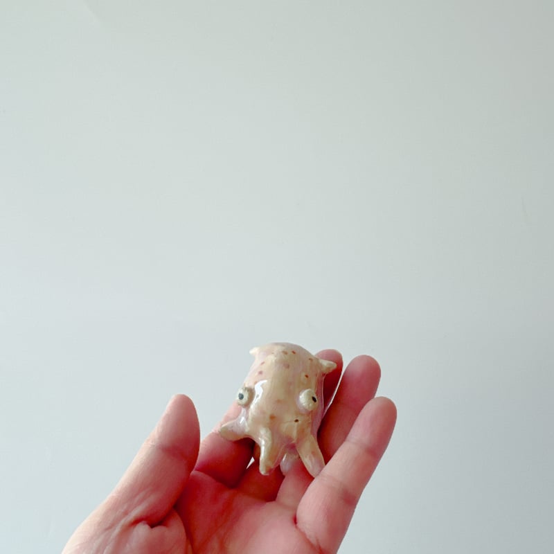 田川亞希 ／ 蛸 メンダコ オブジェ | はちみせ （83）