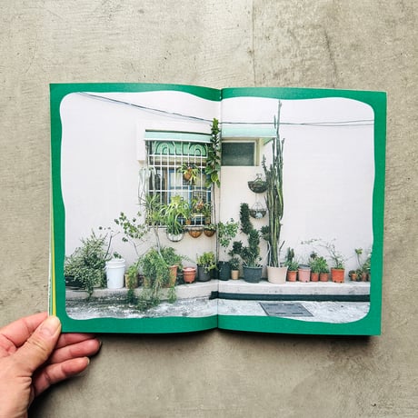 鉄窓花書房 tamazo ／ 台湾の熱帯植物を愛でる  [ BOOK ]