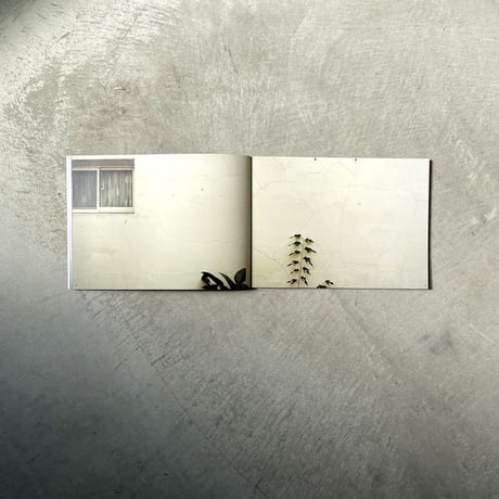 鉄窓花書房 tamazo ／ 台湾の壁 壱  [ BOOK ]