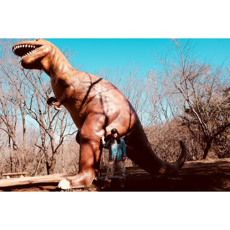 吉田和夏 ／ Dinosaur key ｜C