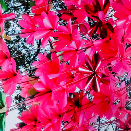 若生友見 ／ 029 Blooming Street