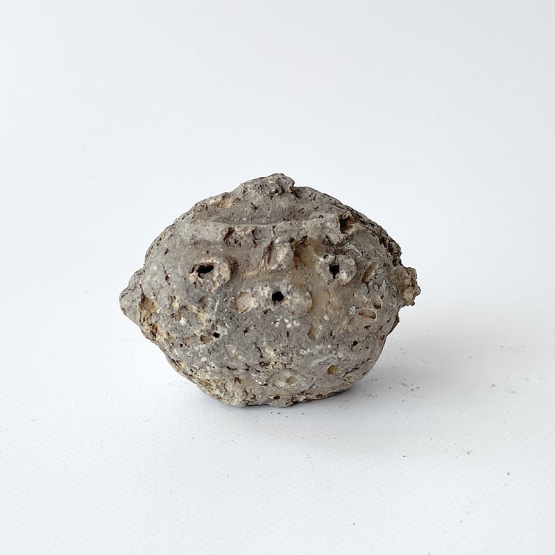 縄文土器　小動物？昆虫？珍品　箱付き　R99-2 0fad80ac06f40c1a0d099f245ca07b