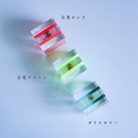 Sola cube Slice ｜Dandelion