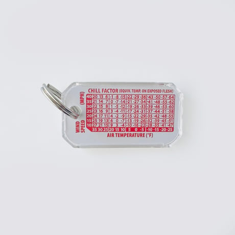 NASA LUMA ZIP KEY RING（Glow)