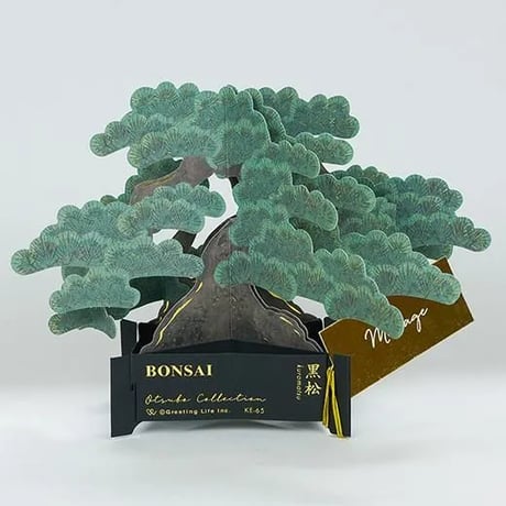 BONSAI Pop-Up Card｜黒松