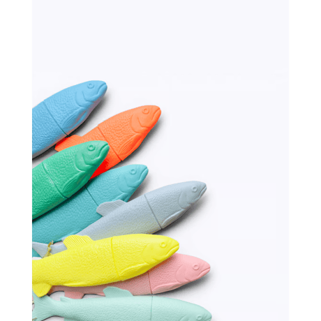 Fish Case