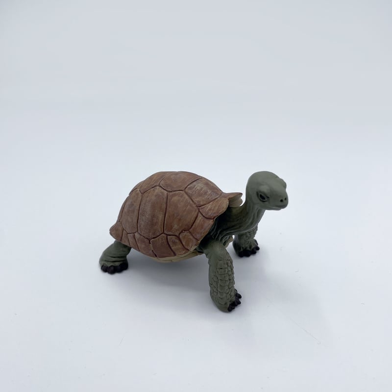 フィギュア リクガメ・ミシシッピアカミミガメ [Safari] | はち