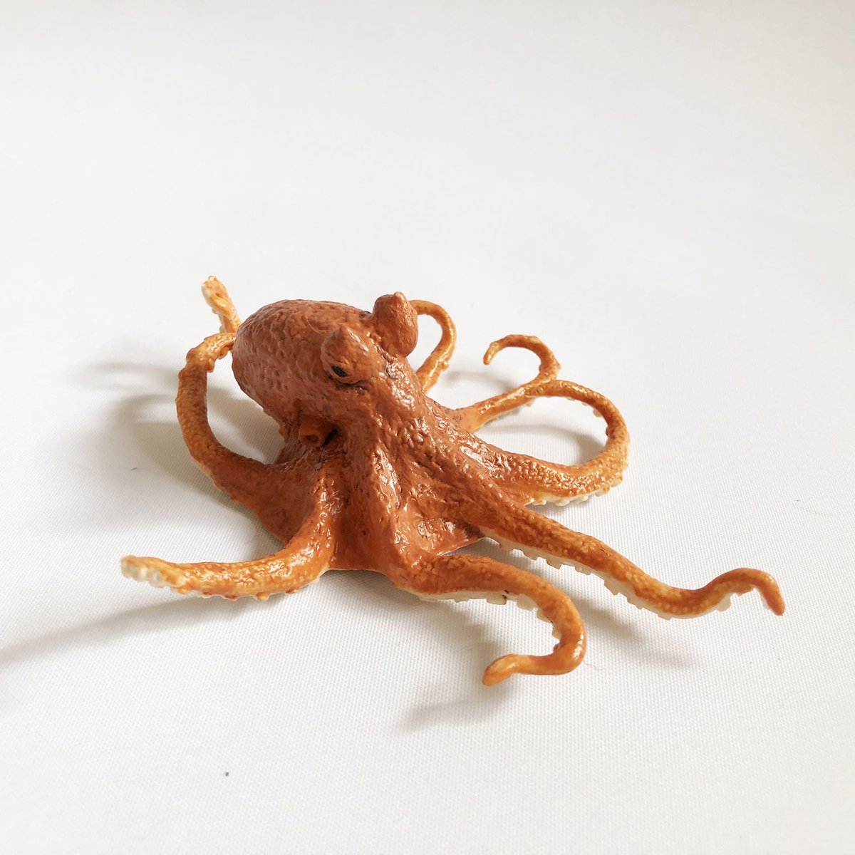 フィギュア Octopus figure [Safari] | はちみせ （83）