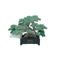 BONSAI Pop-Up Card｜黒松