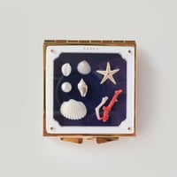 卒業生代表 ／ ミニ標本箱ミラー：05