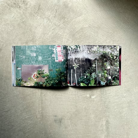鉄窓花書房 tamazo ／ 台湾の壁 壱  [ BOOK ]