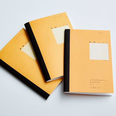 飯沢未央 ／ the Male or Female [book set]