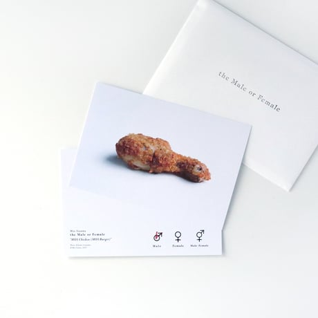 飯沢未央 ／ the Male or Female [post card 8set]