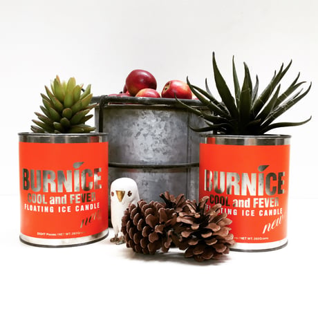 anbuy ／ 燃える氷　BURNICE  Premium CAN 8-set