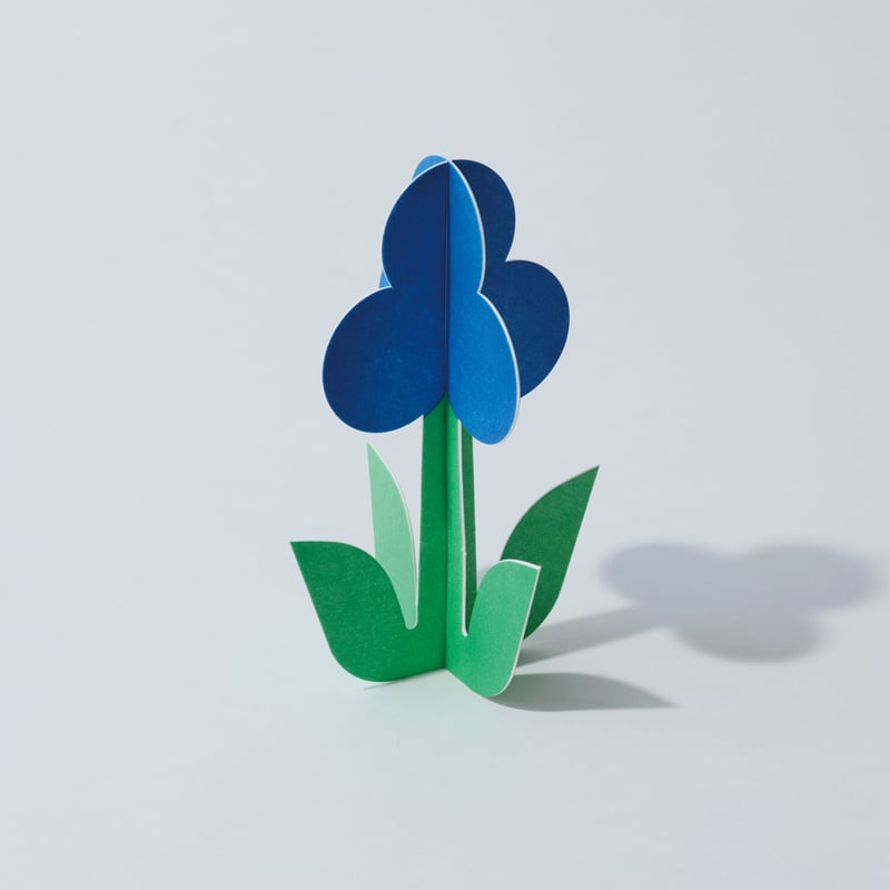 ヘイホーページA5 花華 228:Echeveria 'Vega'(エケベリア ベガ)6㎝ポット[多肉植物]