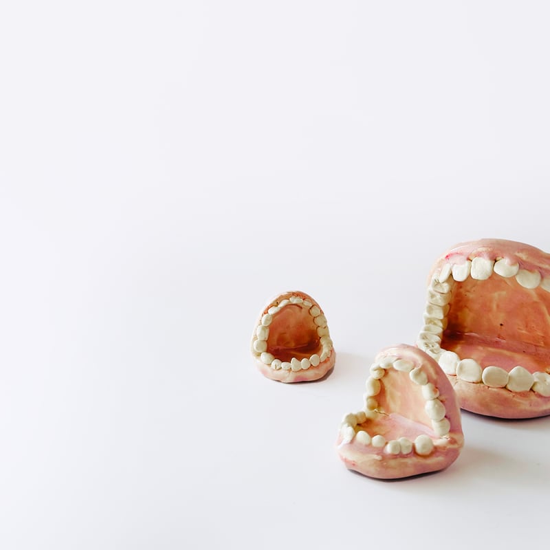 激レア材！シャチの歯 激レア材！シャチの歯 激レア材！シャチの歯