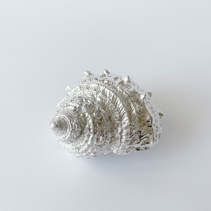 栄螺のお猪口｜錫製 | はちみせ （83）