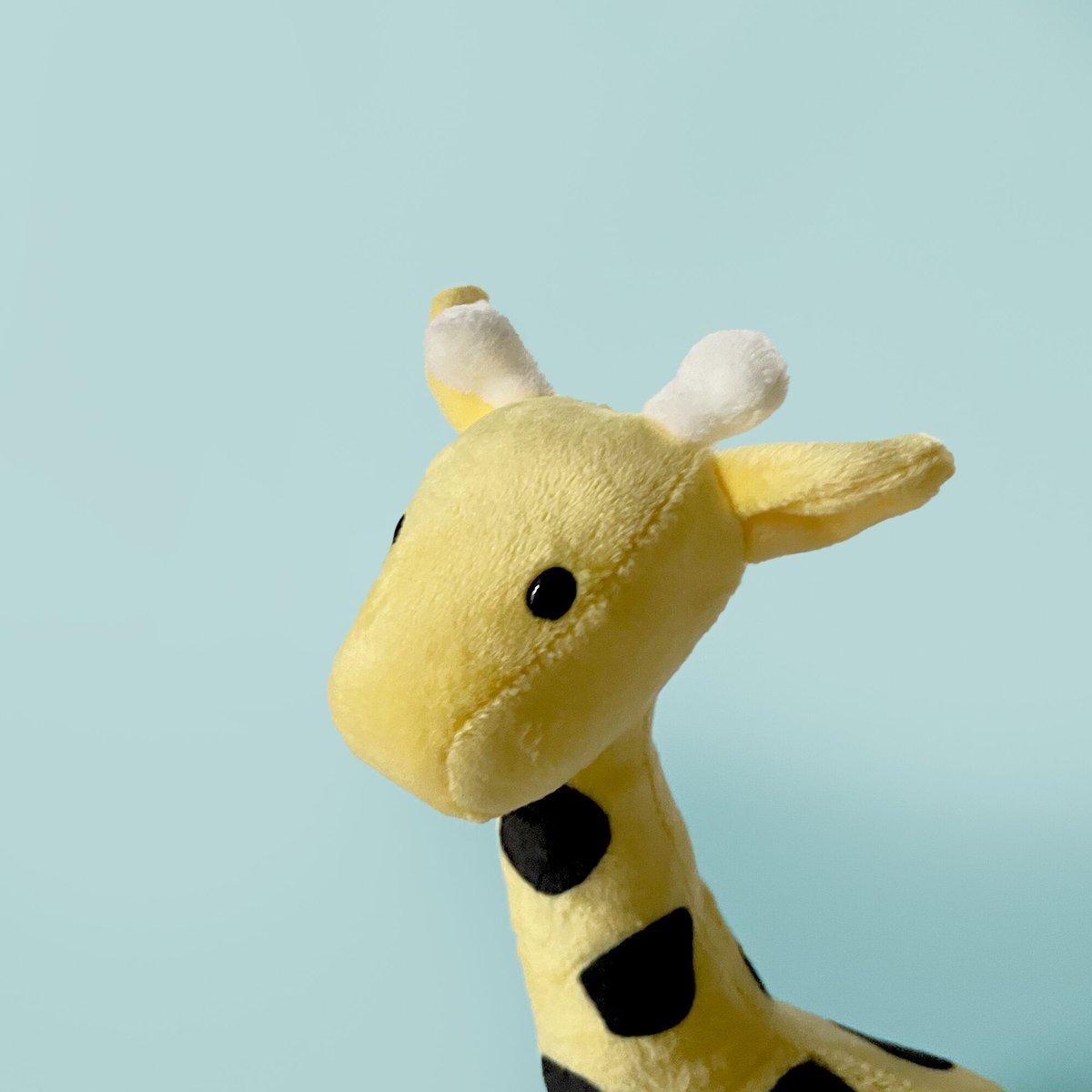 ぞうきりんS fit=scale-down,w=1200