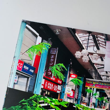 若生友見 ／ 029 Blooming Street